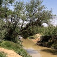 جرعة تفائل (@ss41239838) Twitter profile photo