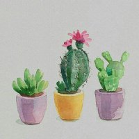 Azra💛Emre (@azraemre1907) Twitter profile photo