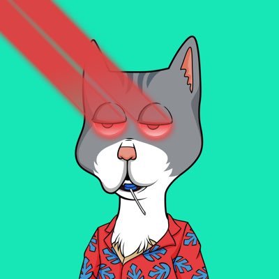 Boss Cat Rocket Club || The Mallard Order