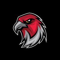Atlanta Falcons Germany(@ATLFalconsGER) 's Twitter Profile Photo