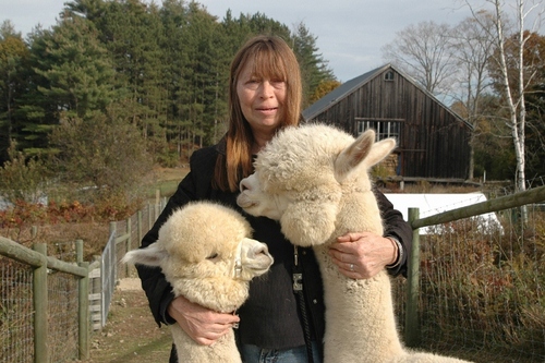 Life, liberty, property and alpacas; Veteran muni bond research geek with a penchant for history meets Green Acres, never shakes muni habit!