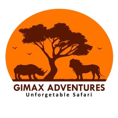 We are Tanzania Leading Tour & Travel Company, handling and organising domestic tour trip. BOOK YOUR SAFARI WITH US:
Email: gimaxadventures@gmail.com