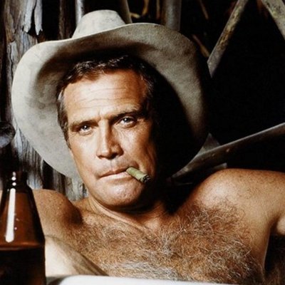 Parody to an unknown stuntman
I might jump an open drawbridge
or swing like Tarzan from a vine
Cause I'm the unknown stuntman
that makes Eastwood look so fine