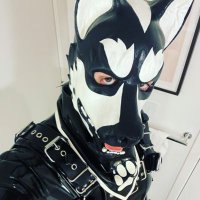 Sika (@sikarets) 's Twitter Profile