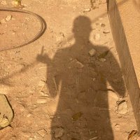 Baron 231 (@benedictgerrald) 's Twitter Profile