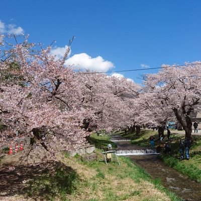 東北
♂️　凸したい