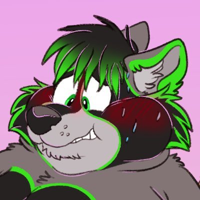 Melon_Raccoon Profile Picture