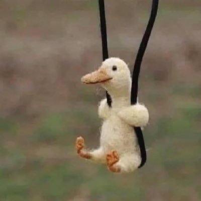 btsmeal71821's profile picture. RCE September 2025🪬✨😘