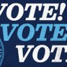 vivian_terry's profile picture. Blue Wave 2024. Stronger Together. Bots and Cult45 stay out of my mentions No DM Means No DM #PRU Ω #BLM #RESIST