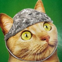 TRUTHSEEKER (@searchrichard1) 's Twitter Profile