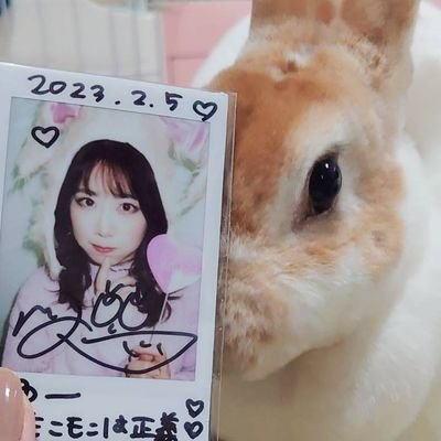 フィロソフィのダンス奥津マリリさん応援中。アイナナ👓最推し うさぎ2匹と同居中🐰🐰 化粧品、食べ歩き、お絵かき🫶🏻 tweet frm JPN うさぎと推し成分多め🍀趣味垢https://t.co/6zeYnHkHrv ←お絵かき