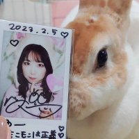ใใผ@ใใใใใฏๆญฃ็พฉ//ใใใฌใใญในใใใ (@ramamama23) 's Twitter Profile Photo ใใผ@ใใใใใฏๆญฃ็พฉ//ใใใฌใใญในใใใ (@ramamama23) 's Twitter Profile Photo