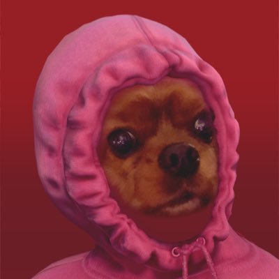 SlopppyJoe's profile picture. Sports Fanatic: Blue Jays, Habs, Raptors Fan