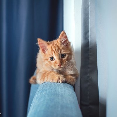 ChanelReyn54279's profile picture. Investing in novices, friends who have the same investment can learn together, discuss, please give me more advice