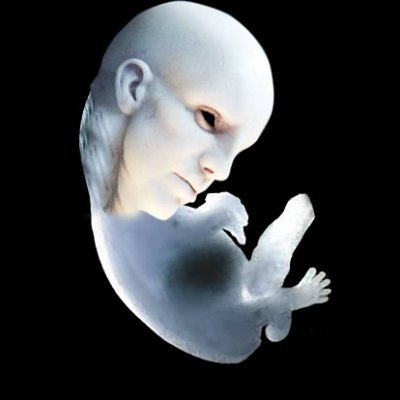 lara_lor_van's profile picture. NPC en mi propia vida / Todavía no nací y tengo 10 años de experiencia

• Graphic Designer • Motion Graphic • Animation 2D & 3D •