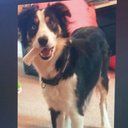 Rob Farrell - @McW1ck3d13 - Twitter