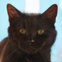 Jill Butts - @butts57832 - Twitter