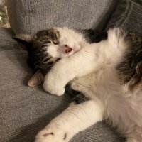 JasperB (@cleo_patra8642) 's Twitter Profile
