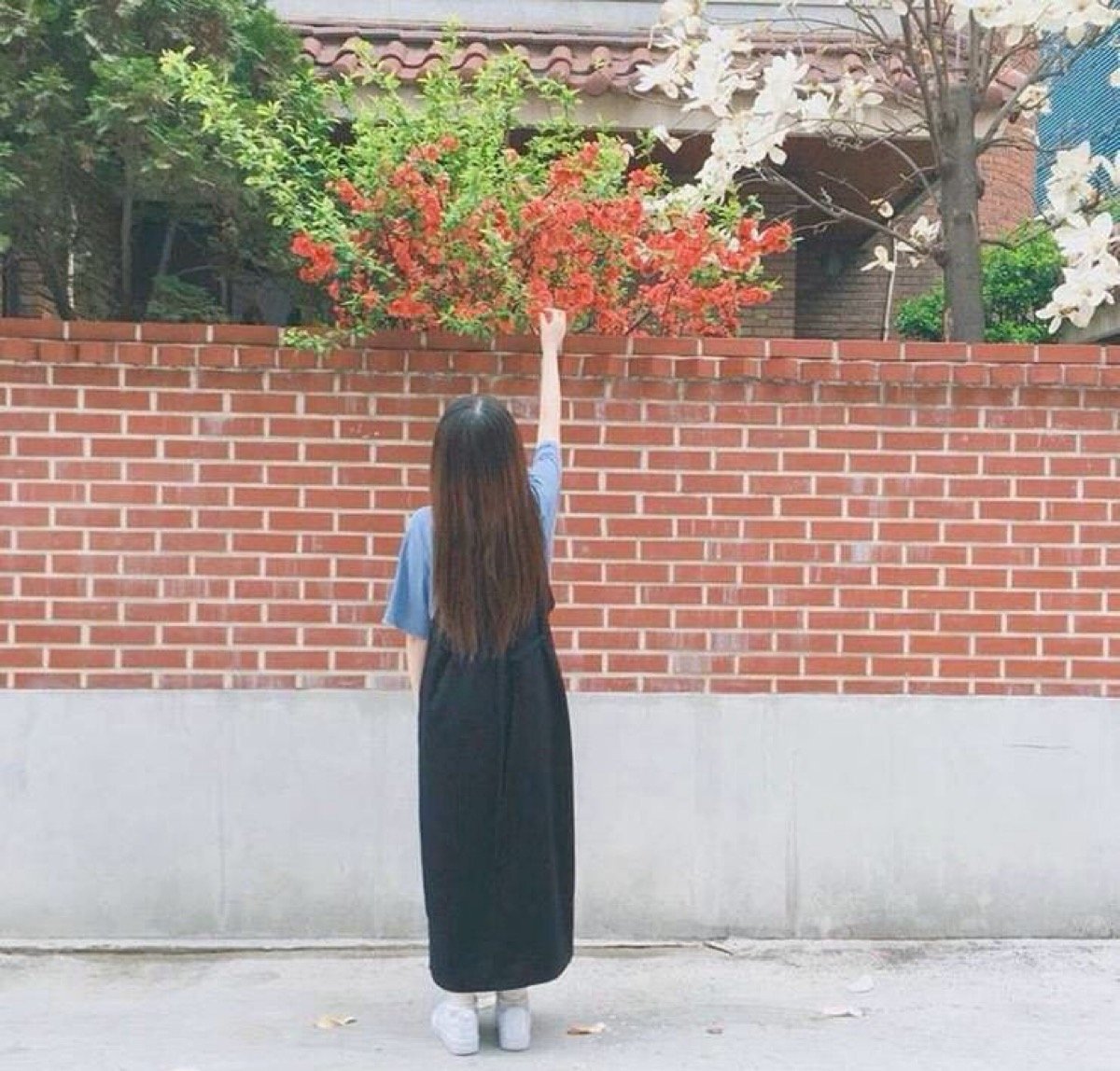 Ramona324586880's profile picture. Live a good life meet slowly.