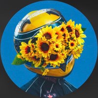 Cardellino (@thecardellino) 's Twitter Profile Photo Cardellino (@thecardellino) 's Twitter Profile Photo
