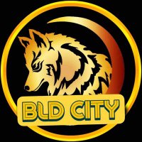 BLD CITY TEAM (@bldcity) 's Twitter Profile