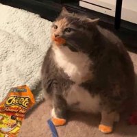 lMrTn (@imrtn) 's Twitter Profile