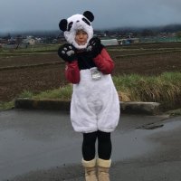 nao (@ginpikari) 's Twitter Profile