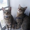 Kendra Craig - @kenny_clydekc - Twitter