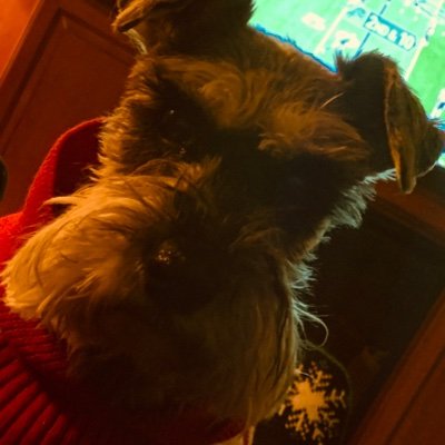 I know a lot of things and I play guitar. Retired Army Officer/High School Science teacher. Heavily armed tourist in exotic locales. Oh yeah…Schnauzers.