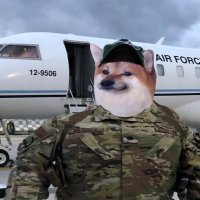 FRANKY 🇺🇸🪖🛩️ 👊🇺🇸🔥 (@jaharamatisek) 's Twitter Profile