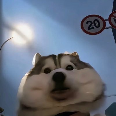 xSoEzL's profile picture. 