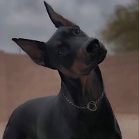 大鲨鱼 (@awentops) 's Twitter Profile