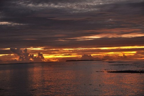 noufahal's profile picture. 