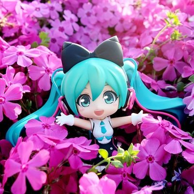 Sella/셀라さんのプロフィール画像