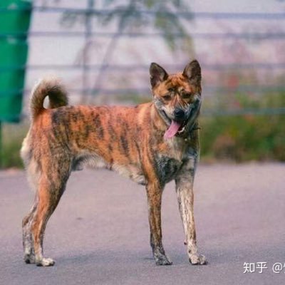 jjjihgdb's profile picture. 