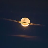 space cleaner (@nn_nicholas) 's Twitter Profile