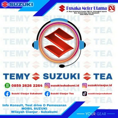 temysuzukitea Profile Picture