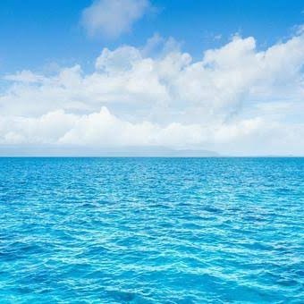 want1543's profile picture. 20↑