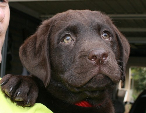 GelindeB's profile picture. 