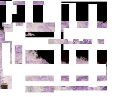 neogaetano's profile picture. 