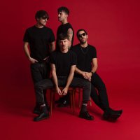 Los Flamingos (@los_flamingos_) 's Twitter Profile