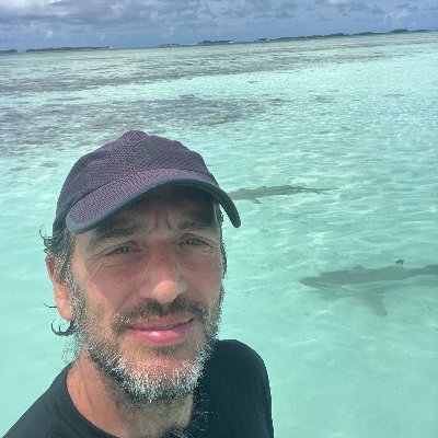 ezetre's profile picture. Astronomer. Opinions here are personal.