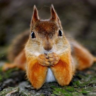 asian1263's profile picture. 