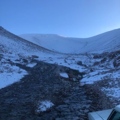 Mohamma20031's profile picture. 