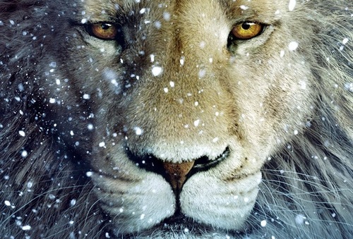 Ledovskiy26's profile picture. 