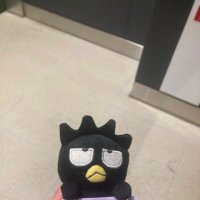 むるこぎ (@21_hani_i) 's Twitter Profile