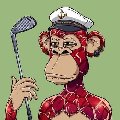 MarkvanBalveren's profile picture. 
