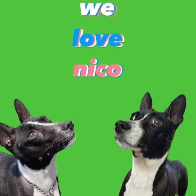 nico_thanx's profile picture. 感想、レビュー、時々普段の呟き。神社仏閣巡り、映画、ライブ、本、トークイベント、お出掛け…などなど。自分の備忘録、レコード兼ねたツイートですよ。