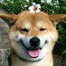 ๅฌๅญๅๅผๅฟต (@tiantian990114) Twitter profile photo ๅฌๅญๅๅผๅฟต (@tiantian990114) Twitter profile photo