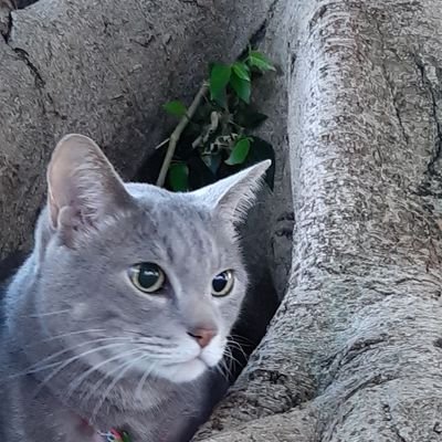 32gggrrr's profile picture. Life is beautiful!